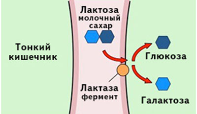 С3_16