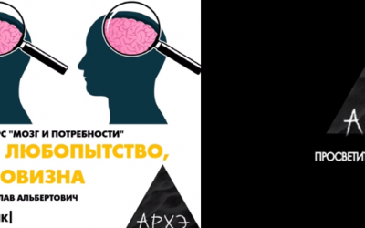 Вячеслав Дубынин. Мозг и любопытство мозг и новизна