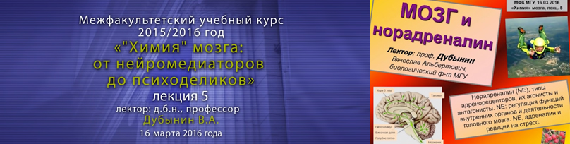 Дубынин Вячеслав — Мозг Норадреналин и адреналин азарт стресс и не только.