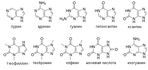 Пуриновые_основания.svg